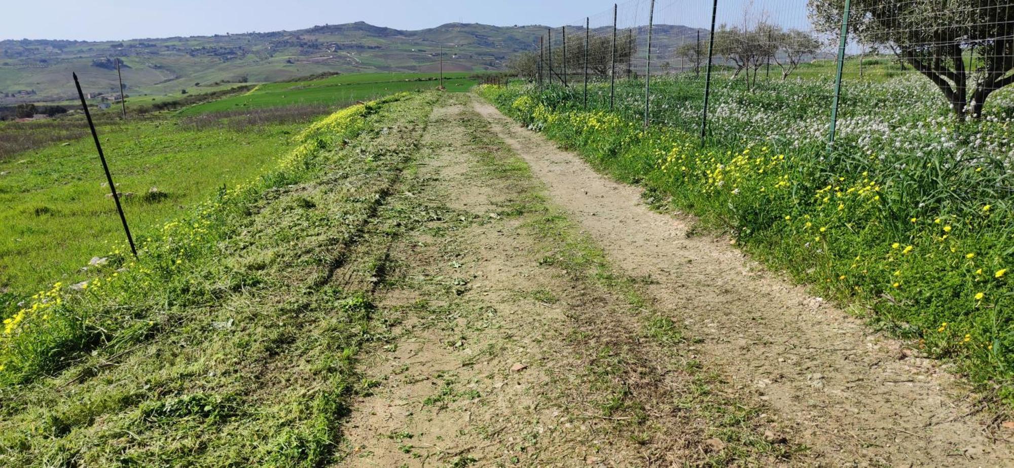 B&B Della Via Francigena Agrigente Extérieur photo